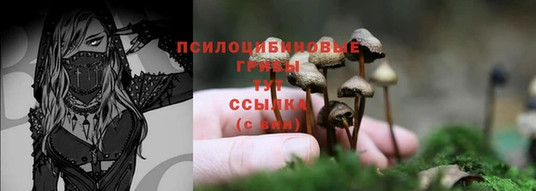 mdpv Аркадак