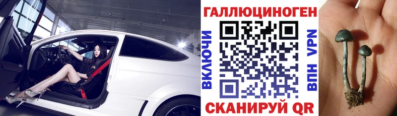 Псилоцибиновые грибы Cubensis даркнет сайт Ясный
